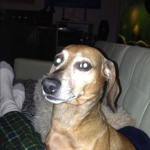 Meet your Posher, Paul